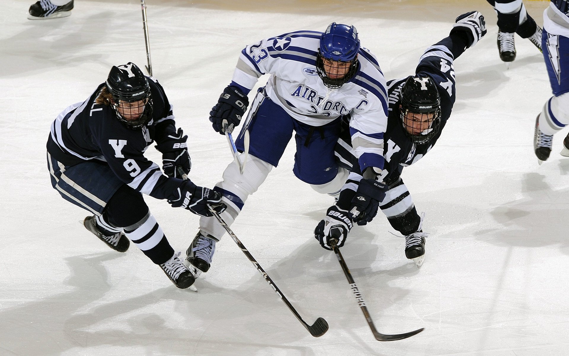 开云娱乐-鹈鹕将组织封闭备战营提升临场执行效率，鹈鹕队专区